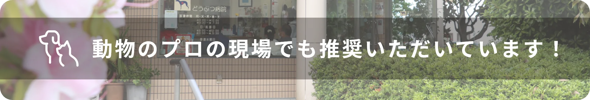 動物のプロの現場でも推奨いただいています！