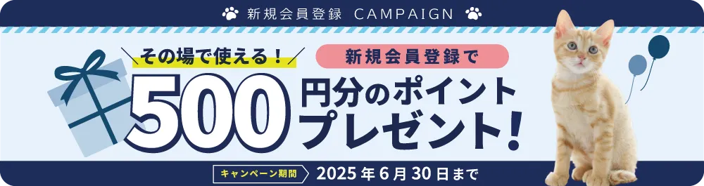 キャンペーン