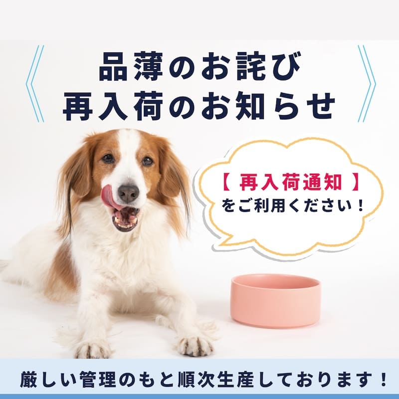 再入荷通知をご利用ください！品薄のお詫びと再入荷について