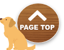 PAGE TOP