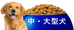 中・大型犬