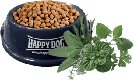 dogfood