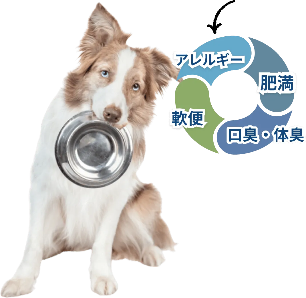 栄養が不足すると、さまざまなトラブルも