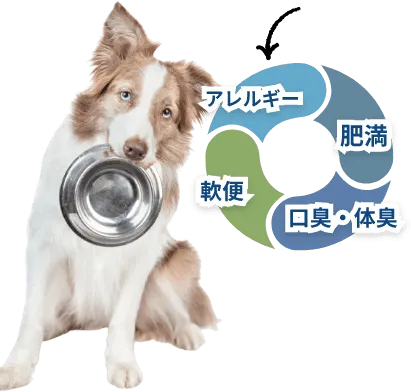 栄養が不足すると、さまざまなトラブルも