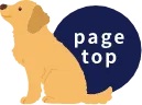 page top