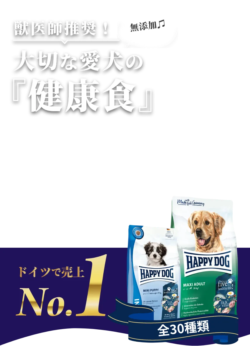 ドイツで売上No.1