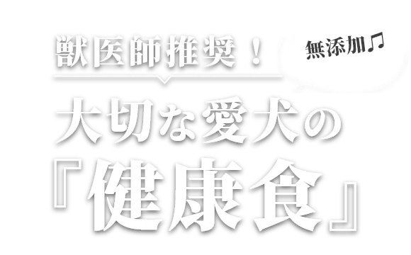 栄養満点ドッグフード
