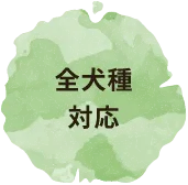 全犬種対応
