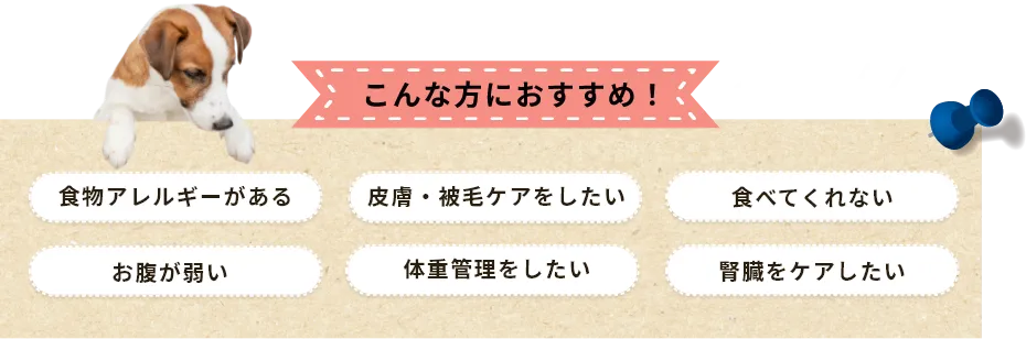 こんな方におすすめ！