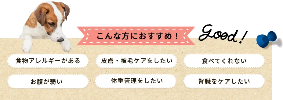 こんな方におすすめ！