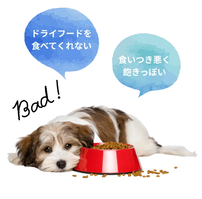 全然、喜んで食べてくれてる気がしない…